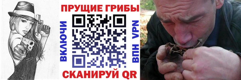 Псилоцибиновые грибы GOLDEN TEACHER  Спас-Деменск 